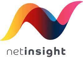 NetInsight Logo